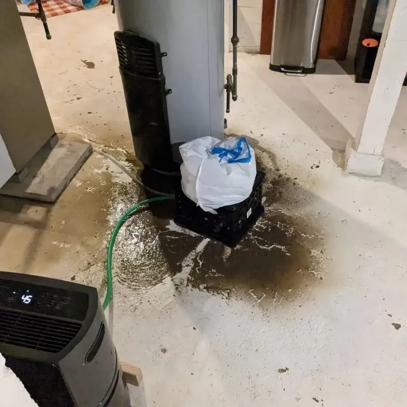 Sewage Backup Cleanup Service in Mystic Island, NJ